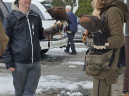 WhatsApp Image 2026-01-12 at 15.54.10 3